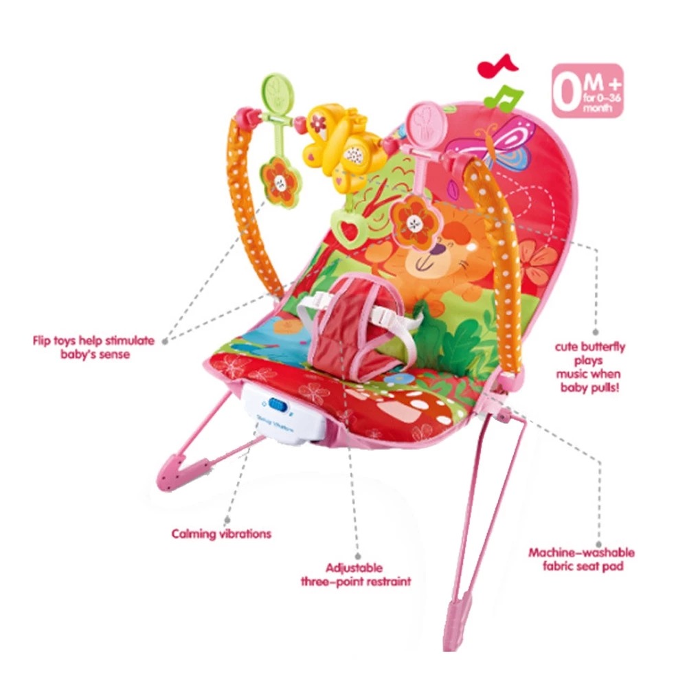 Music & Soothe Baby Bouncer